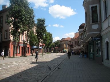 The Old Town-Kaunas-Lithuania-The painting-small houses-picturesque-nice walking-main avenue-
people-At night-the excellent B.O ( Blue Orange ) pub nearby
העיר העתיקה בקובנה ליטא