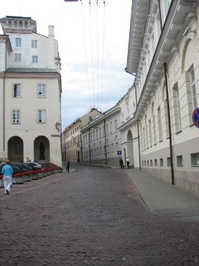 
The President-house-Vilnius-Lithuania-first female-history-Dalia Grybauskaite-elected
       